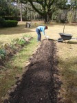 No-Dig Garden Beds