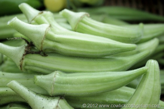 Fresh okra, Cowlick Cottage Farm