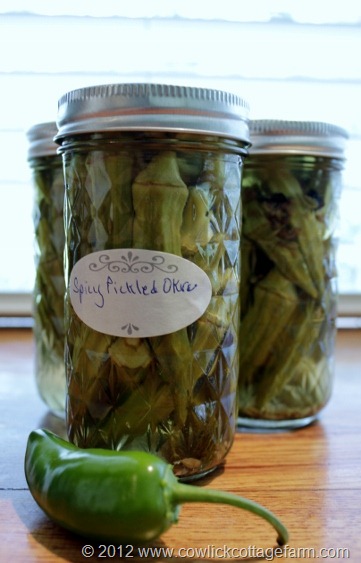 Spicy Pickled Okra, Cowlick Cottage Farm