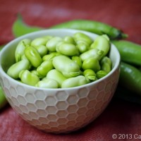 Spring Means Fava Beans