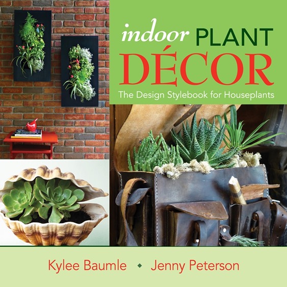 Indoor Plant Décor