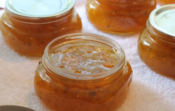 Badass Mango Jalapeno Jam