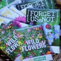 Grow Wildflowers for a Better Vegetable Garden